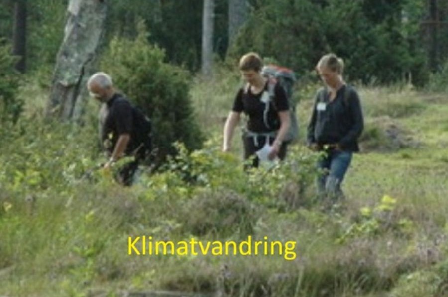 Artikel-bild