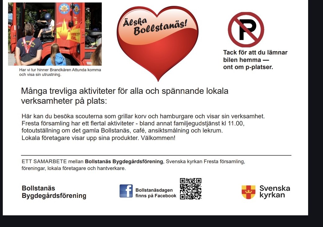 Artikel-bild