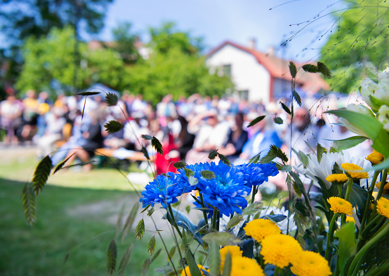 Artikel-bild