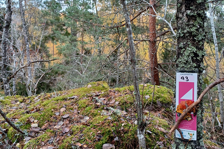 Checkpoint i form av en symbol, placerad intill en sten i ett skogsparti i Väsby.