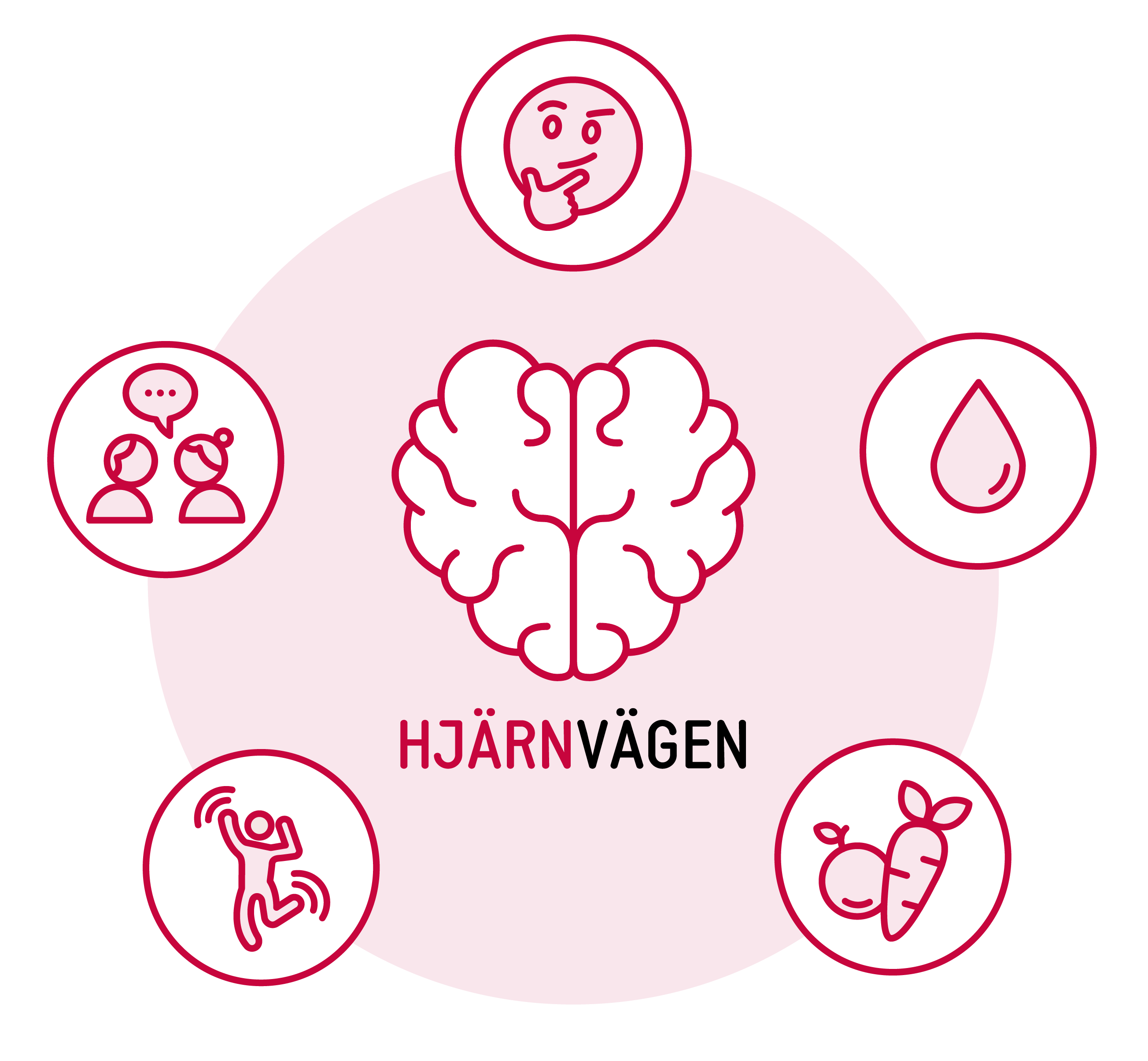 Artikel-bild
