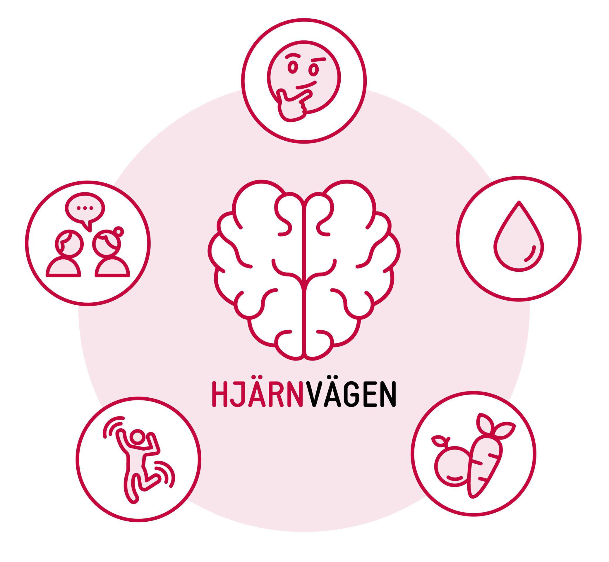Artikel-bild