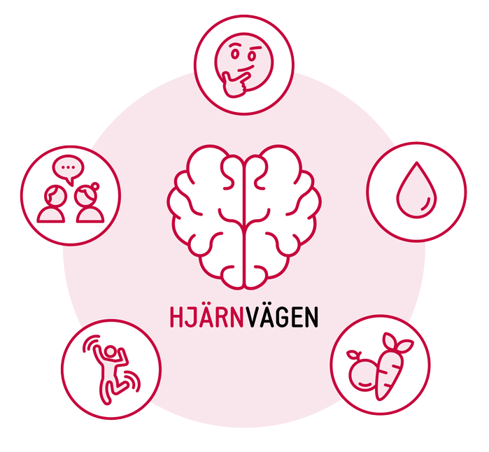 En illustration med en symbol på en hjärna i mitten och runt hjärnan är det fem olika symboler.