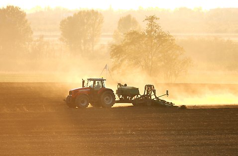 Traktor plöjer på åker.