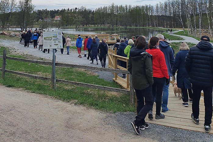 En bild på en grupp människor från naturskyddsföreningens besök vid våtmarken. 