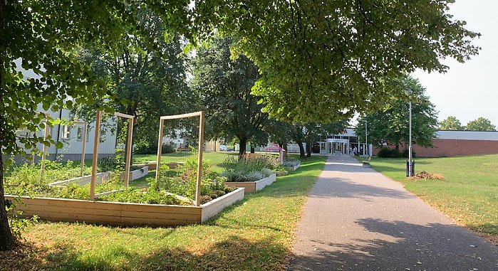 Bild av grön park och odlingslådor