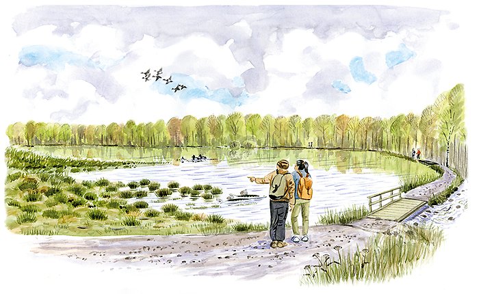 Illustration av ett par med ryggsäckar som tittar ut över en sjö med simmande fåglar. 